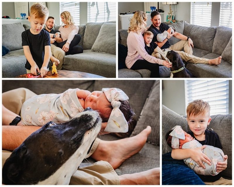 Lifestyle Newborn Session where family is in their element with their new bundle of joy.