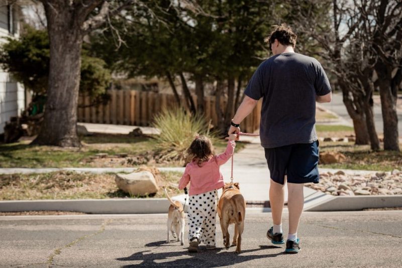 documenting a father and daughter walking together with dogs